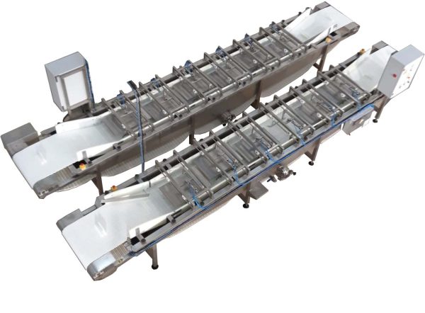 Lavado_berberecho_por_cascada